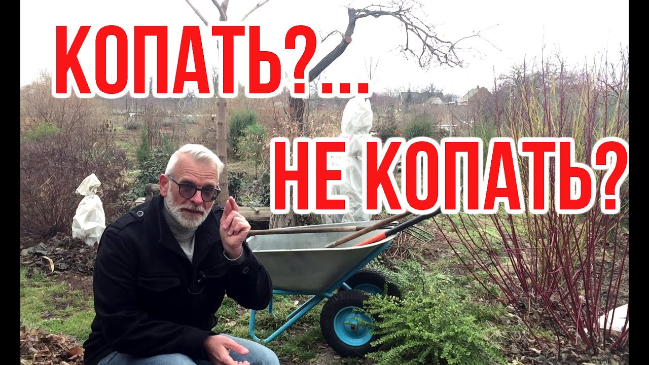 Нажмите, чтобы запустить видео