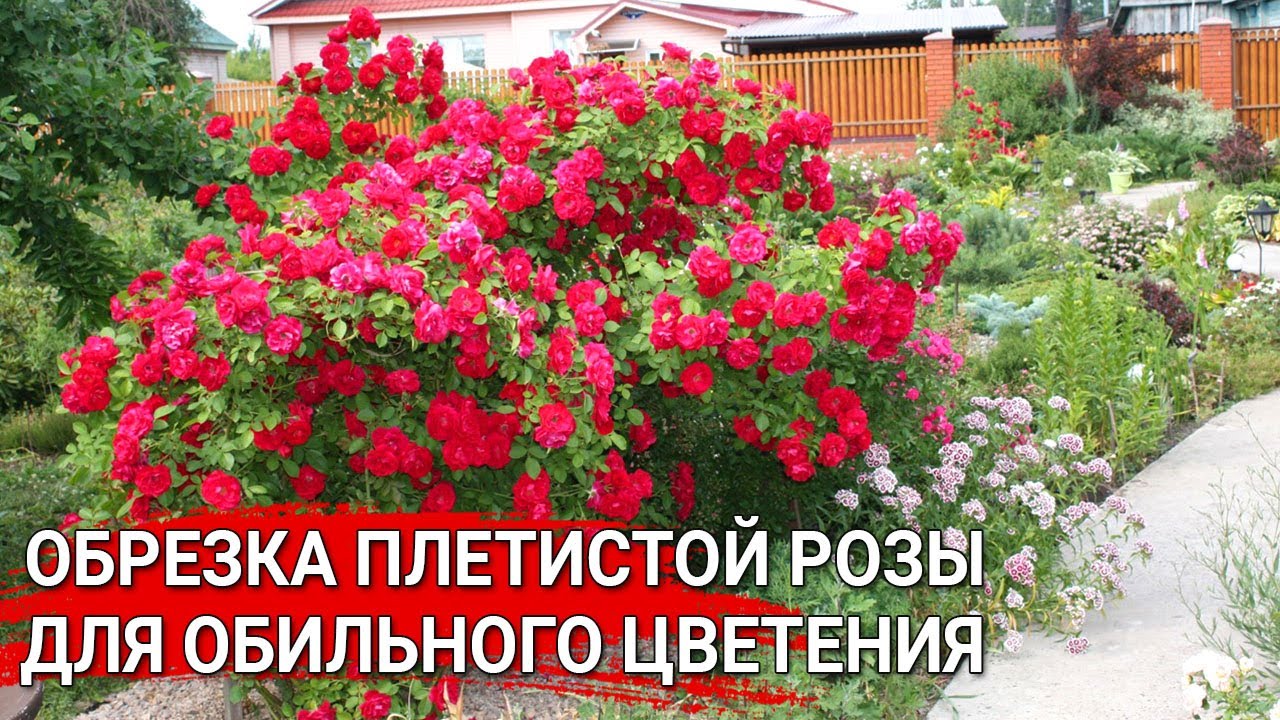 Нажмите, чтобы запустить видео