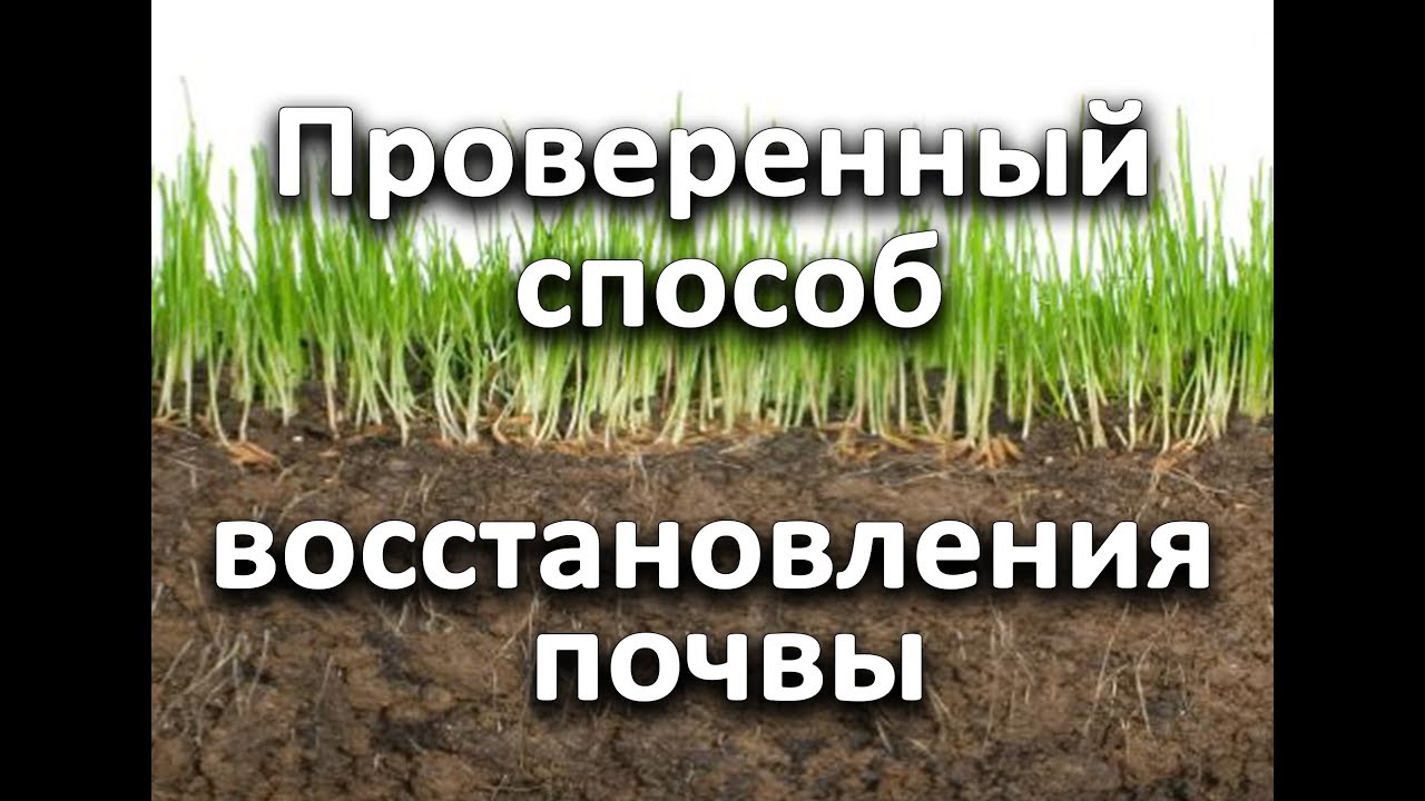 Нажмите, чтобы запустить видео