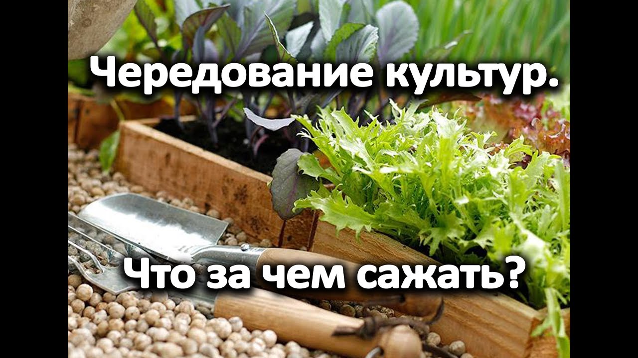 Нажмите, чтобы запустить видео