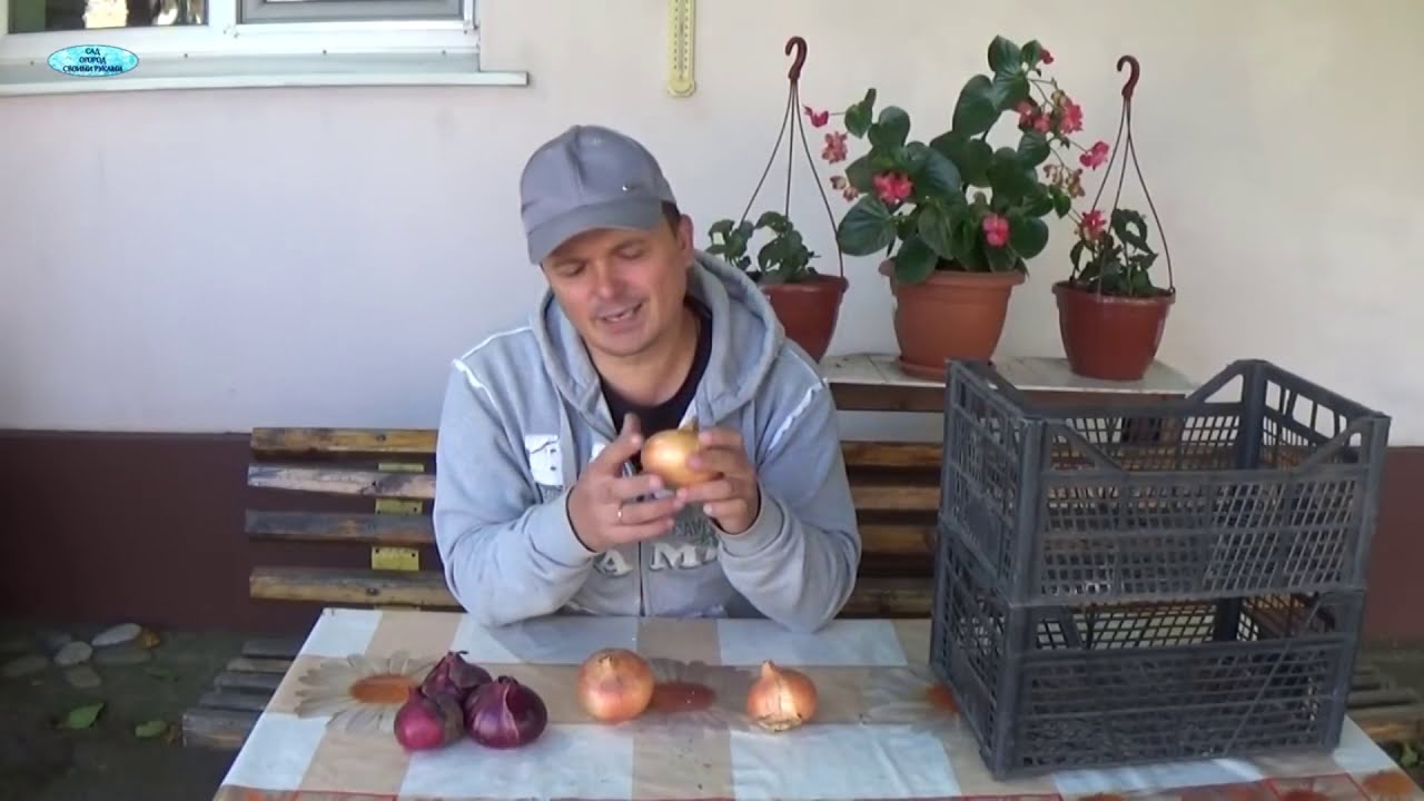 Нажмите, чтобы запустить видео