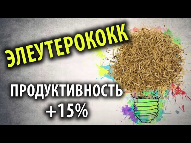 Нажмите, чтобы запустить видео