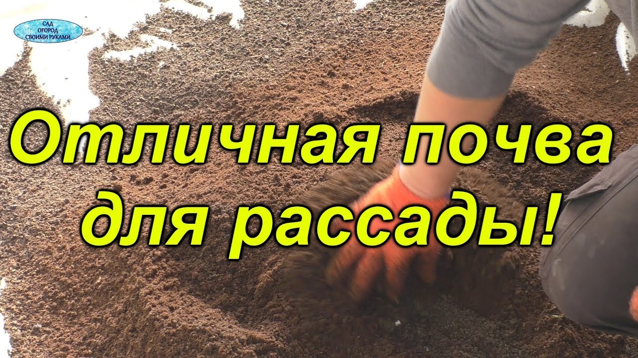 Нажмите, чтобы запустить видео