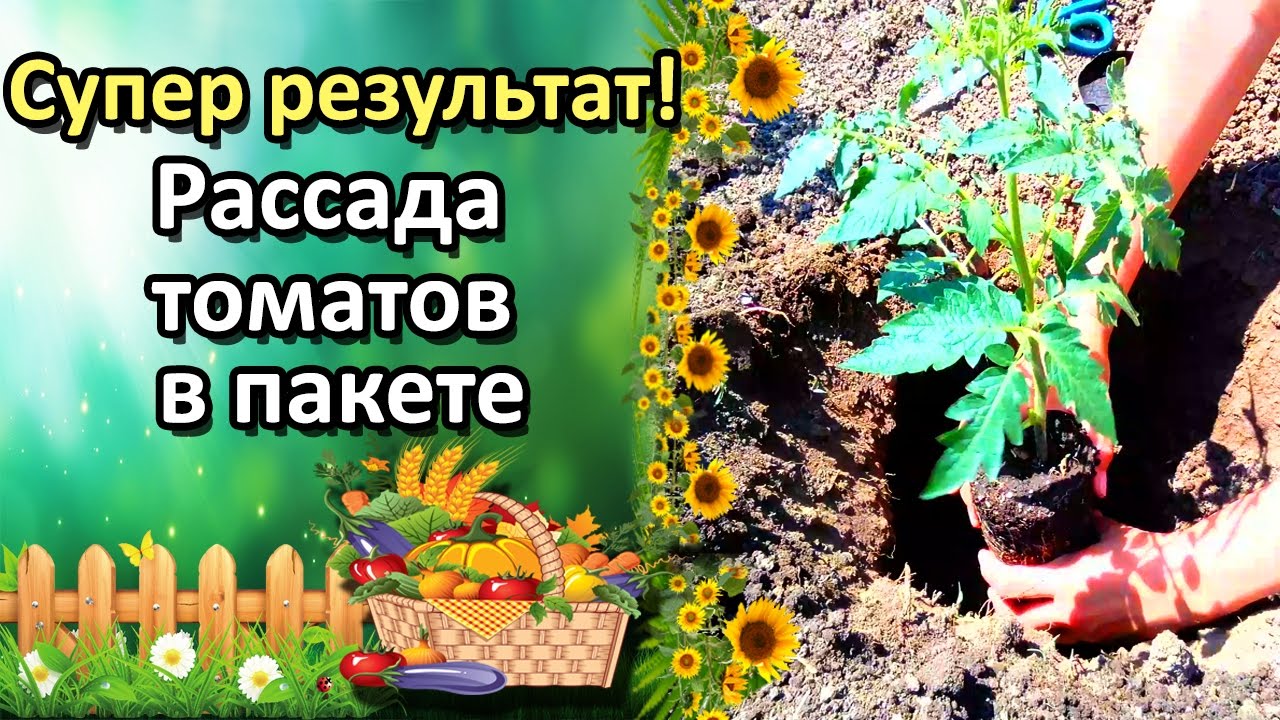 Нажмите, чтобы запустить видео