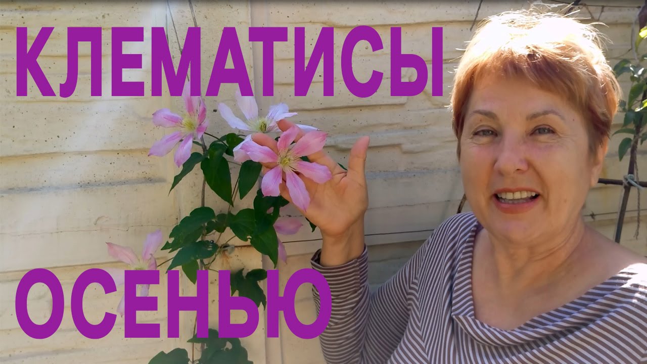 Нажмите, чтобы запустить видео