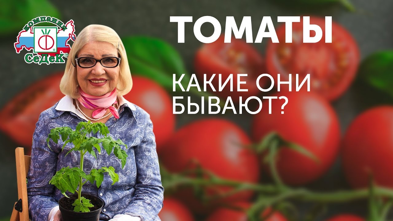 Нажмите, чтобы запустить видео