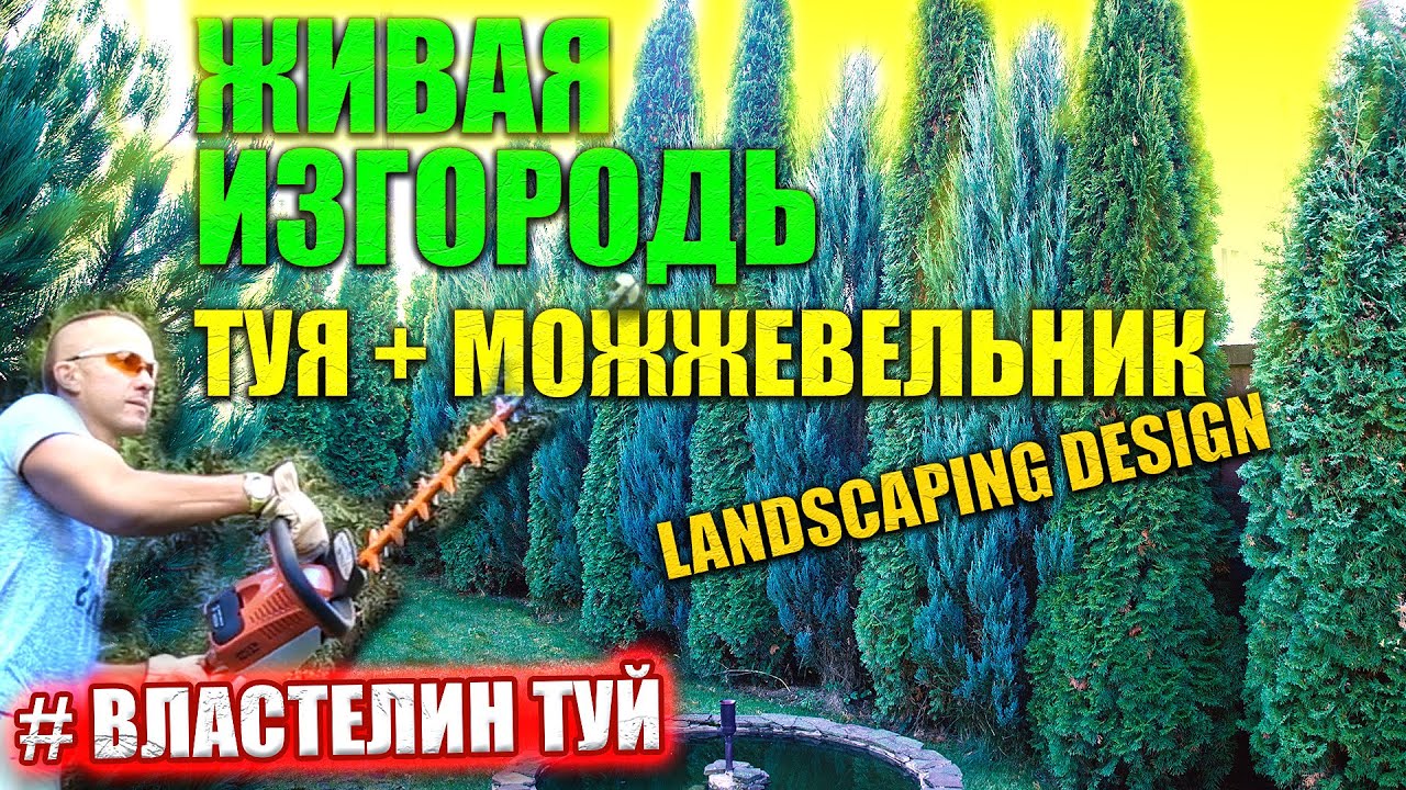 Нажмите, чтобы запустить видео