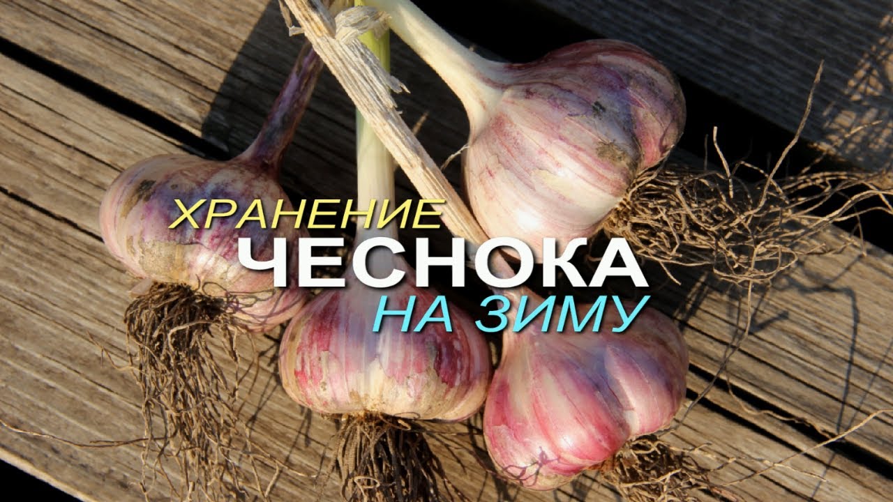 Нажмите, чтобы запустить видео