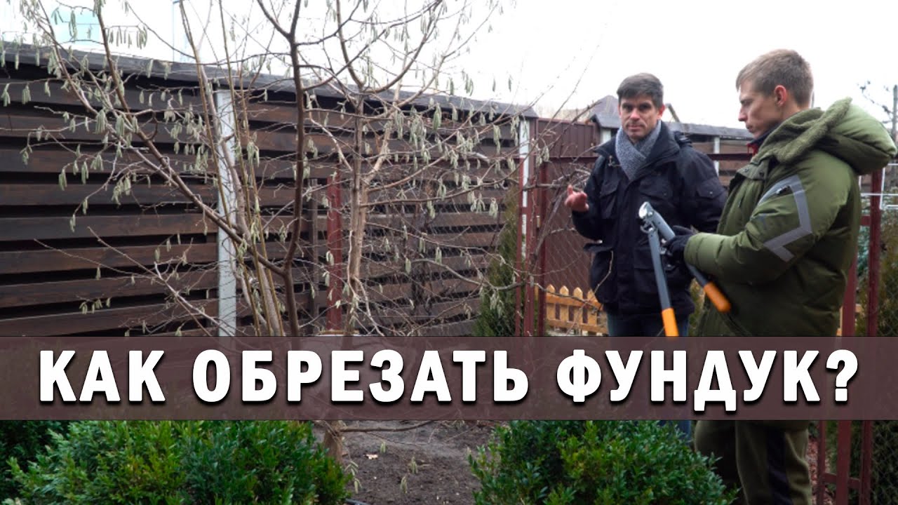 Нажмите, чтобы запустить видео