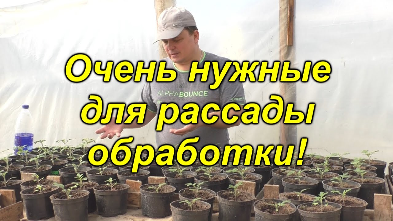 Нажмите, чтобы запустить видео