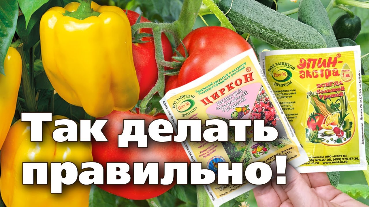 Нажмите, чтобы запустить видео