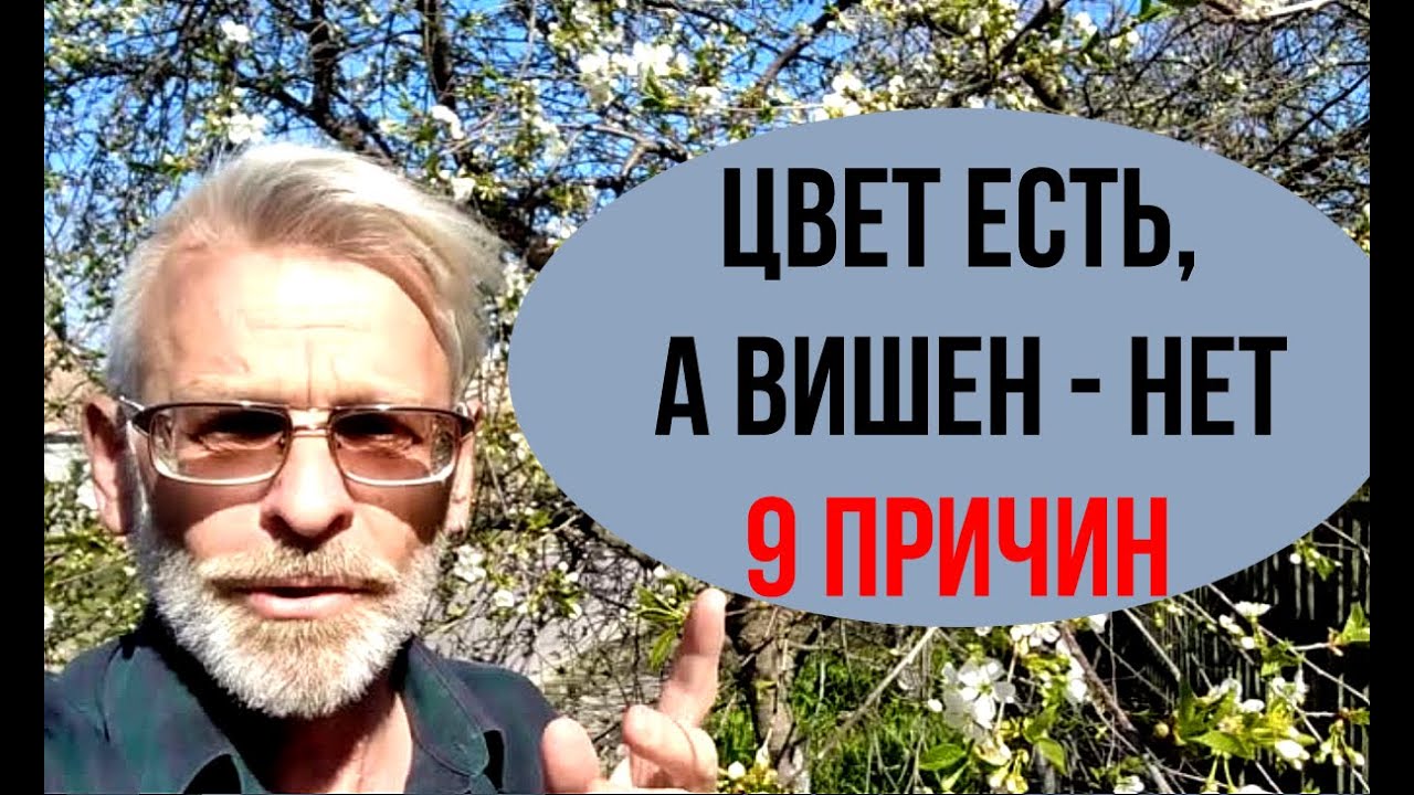Нажмите, чтобы запустить видео