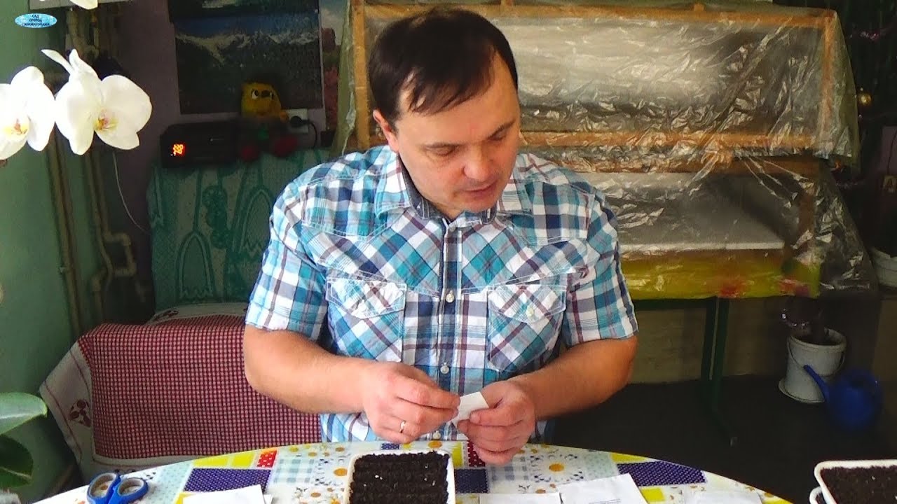 Нажмите, чтобы запустить видео