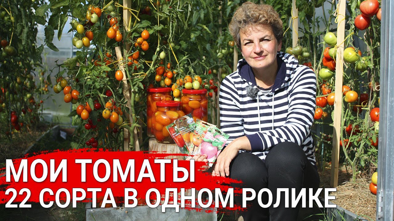 Нажмите, чтобы запустить видео