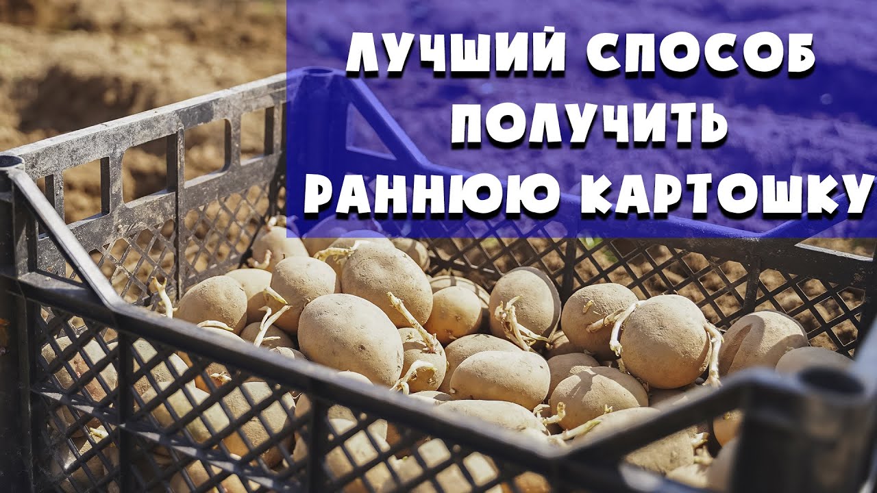 Нажмите, чтобы запустить видео