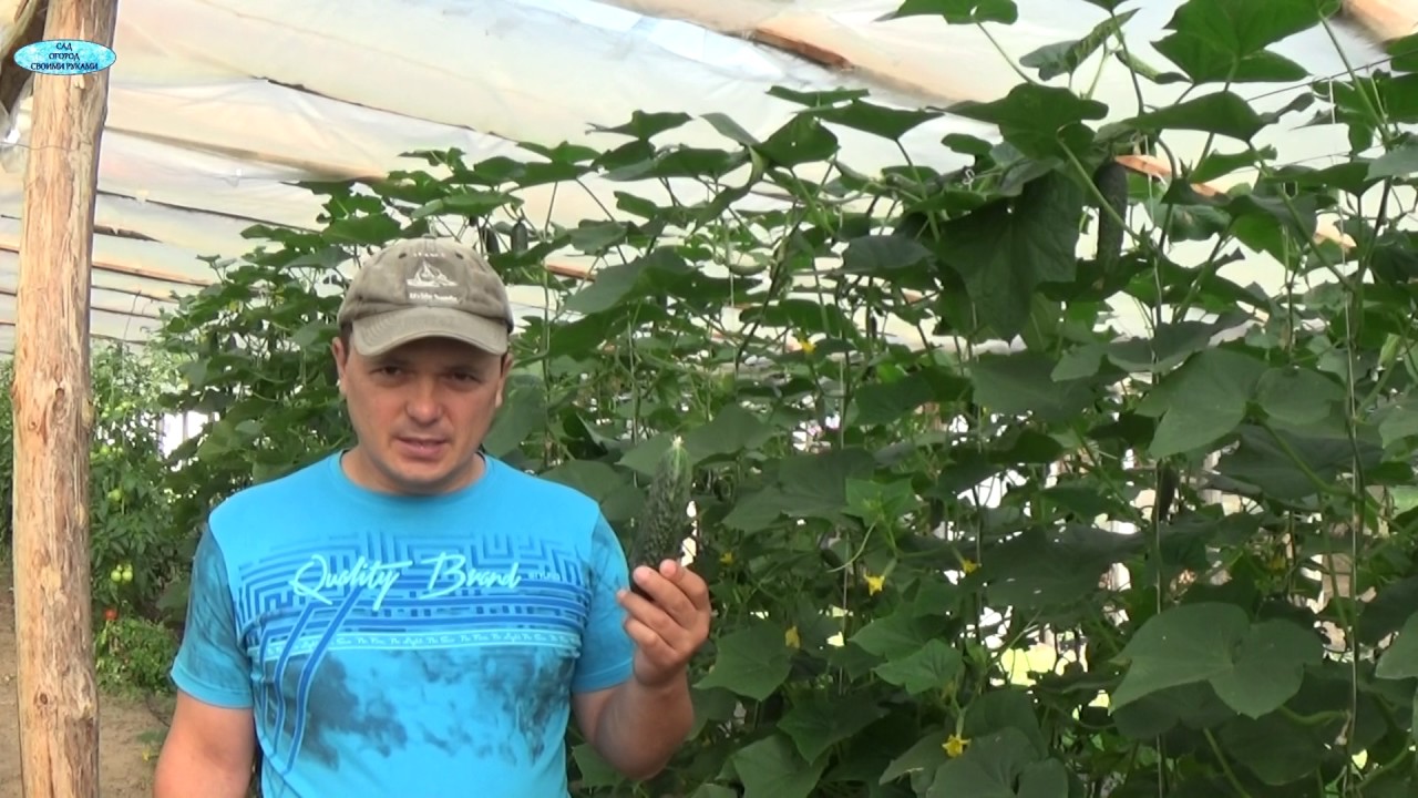 Нажмите, чтобы запустить видео