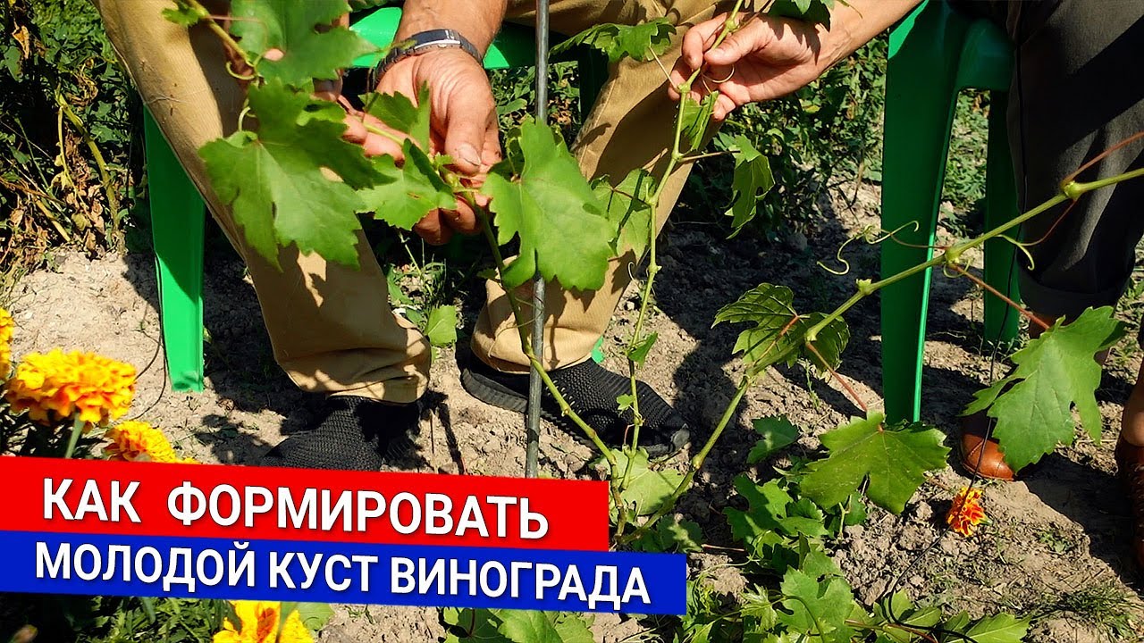 Нажмите, чтобы запустить видео