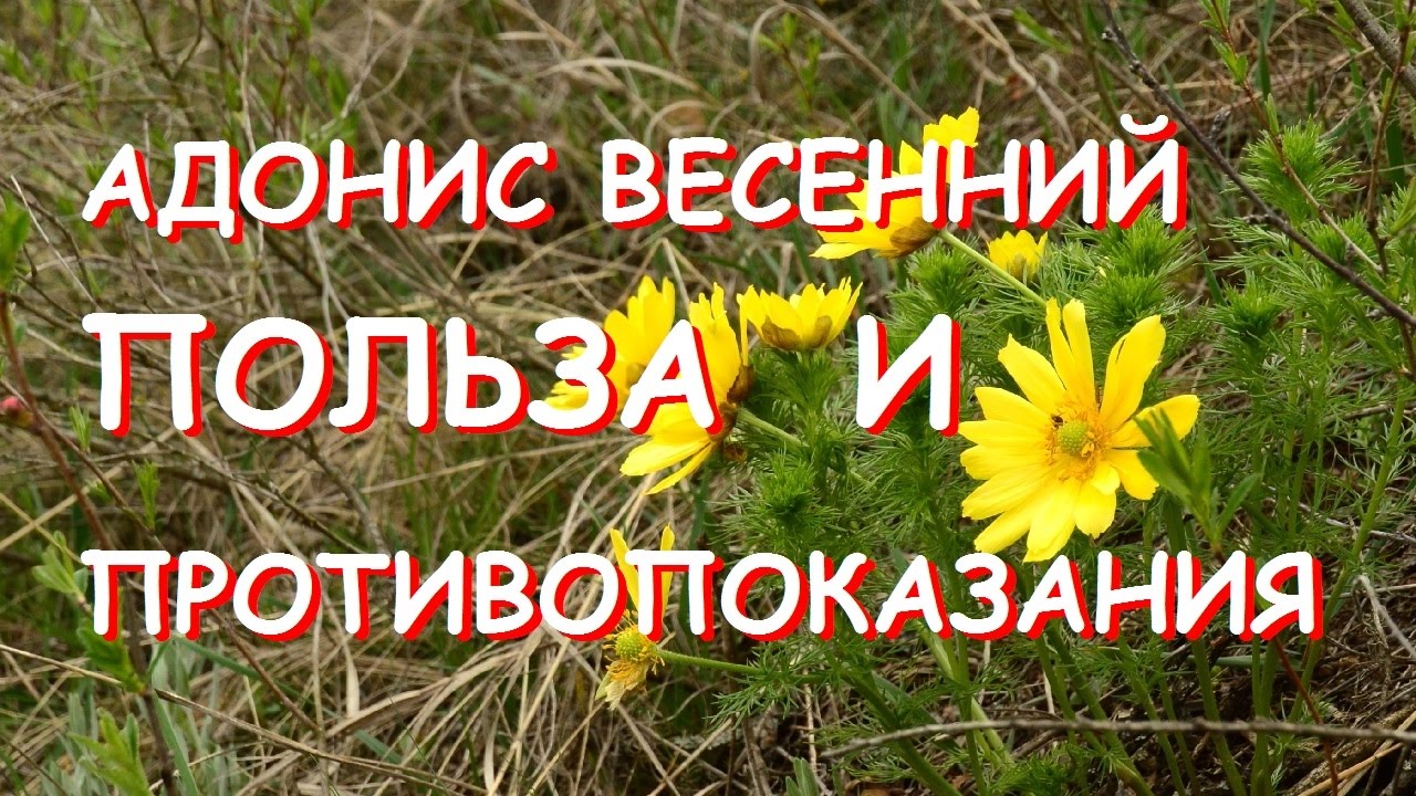 Нажмите, чтобы запустить видео