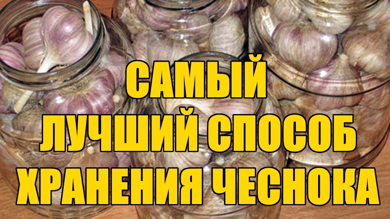 Нажмите, чтобы запустить видео