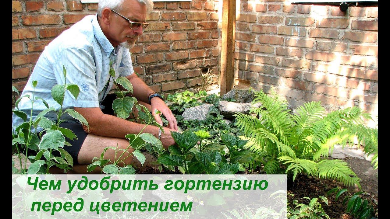 Нажмите, чтобы запустить видео