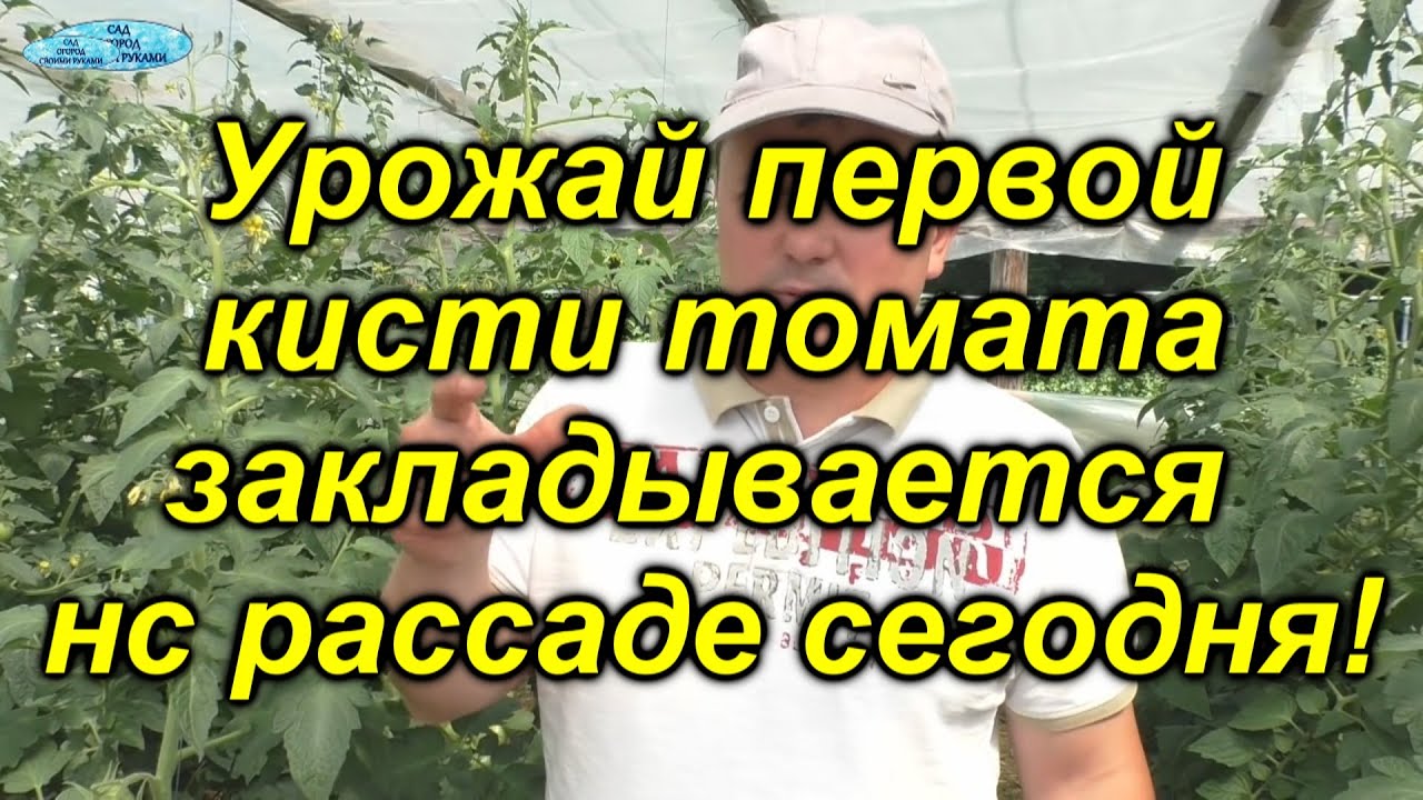 Нажмите, чтобы запустить видео