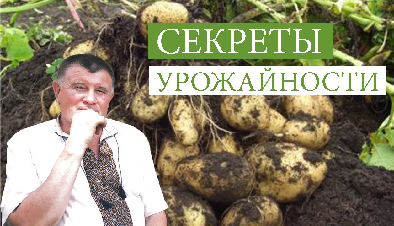 Нажмите, чтобы запустить видео