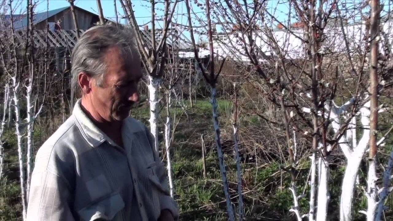 Нажмите, чтобы запустить видео