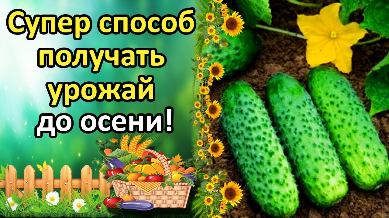 Нажмите, чтобы запустить видео