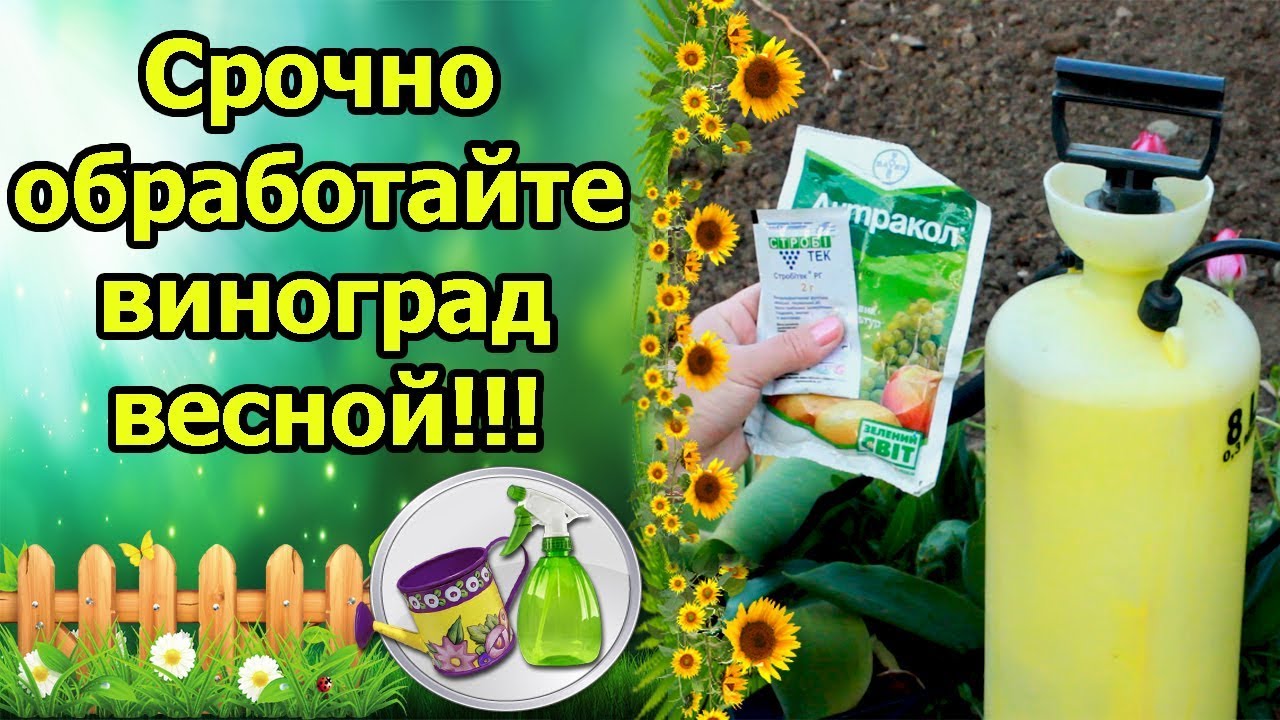 Нажмите, чтобы запустить видео