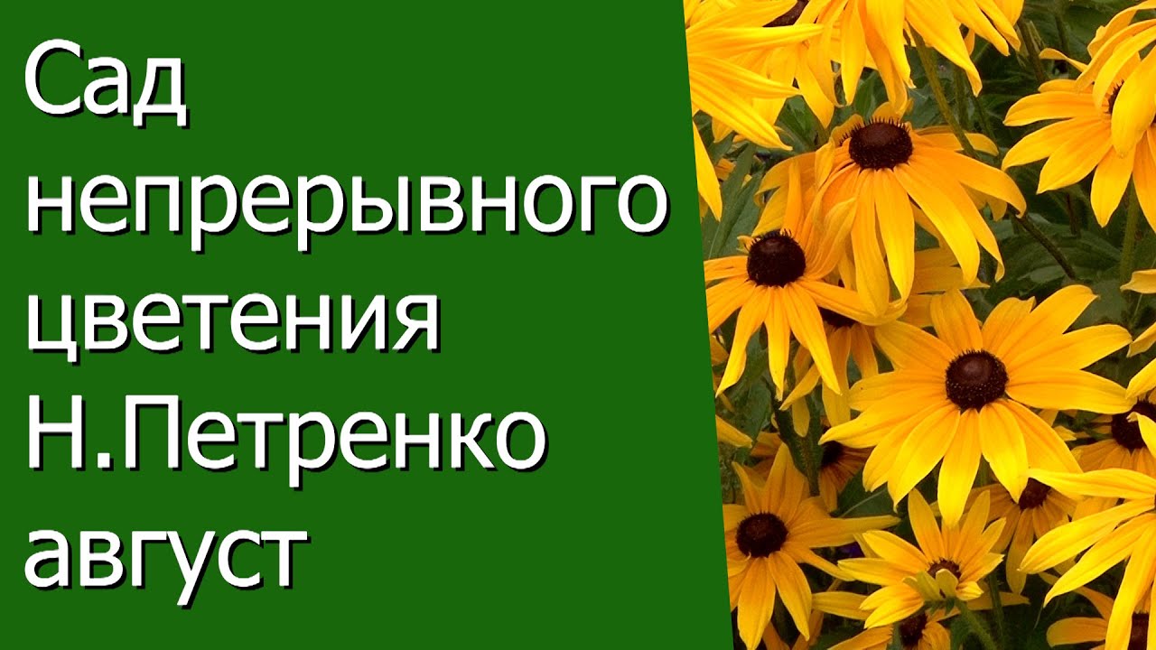 Нажмите, чтобы запустить видео