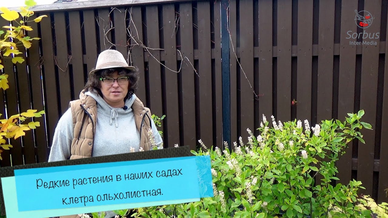 Нажмите, чтобы запустить видео