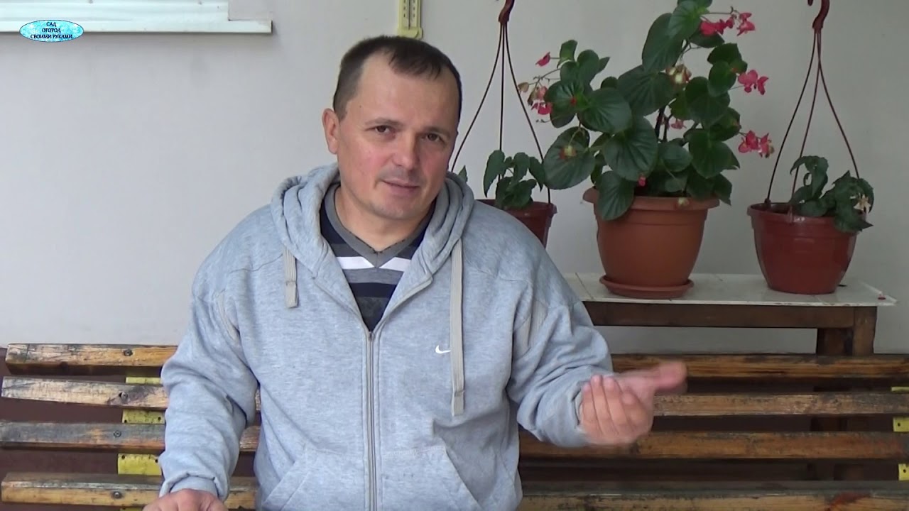 Нажмите, чтобы запустить видео