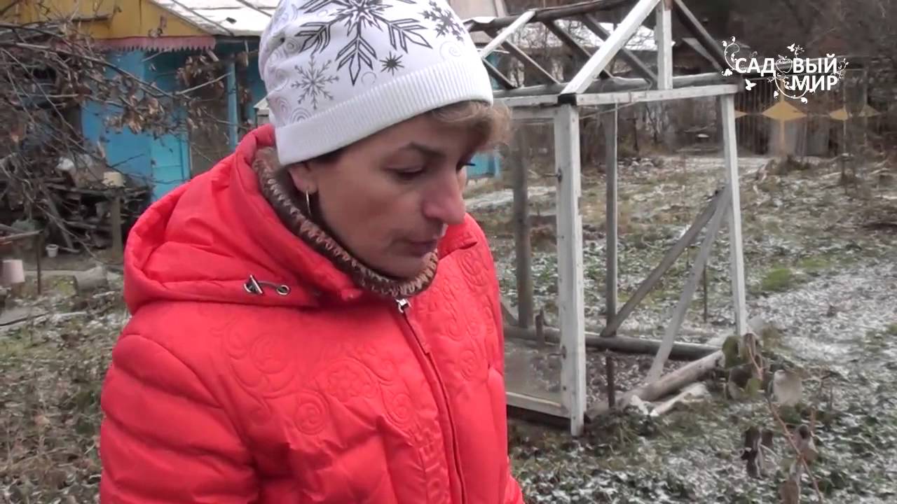 Нажмите, чтобы запустить видео