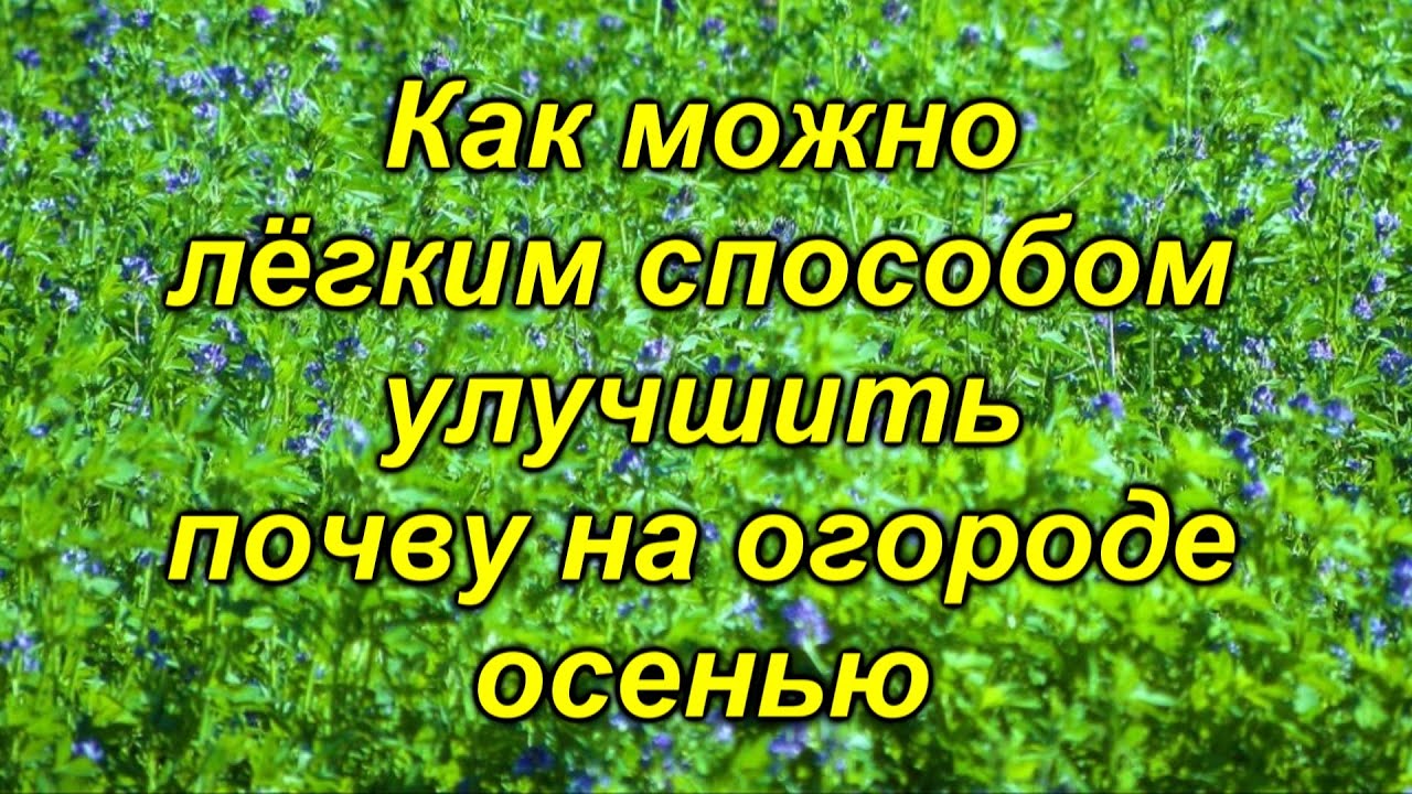 Нажмите, чтобы запустить видео