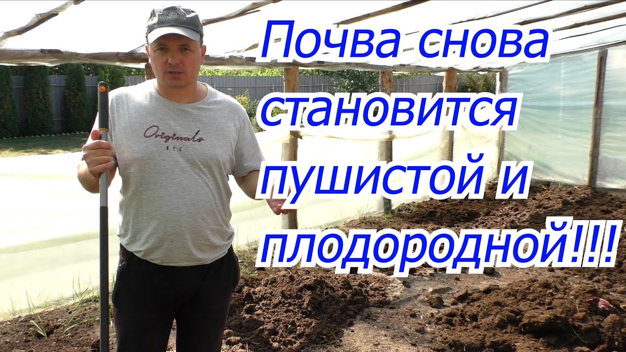 Нажмите, чтобы запустить видео