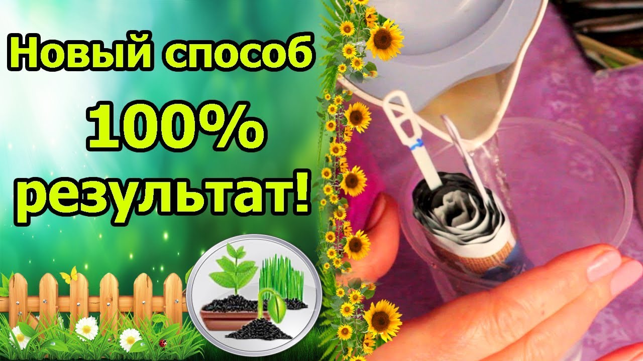 Нажмите, чтобы запустить видео