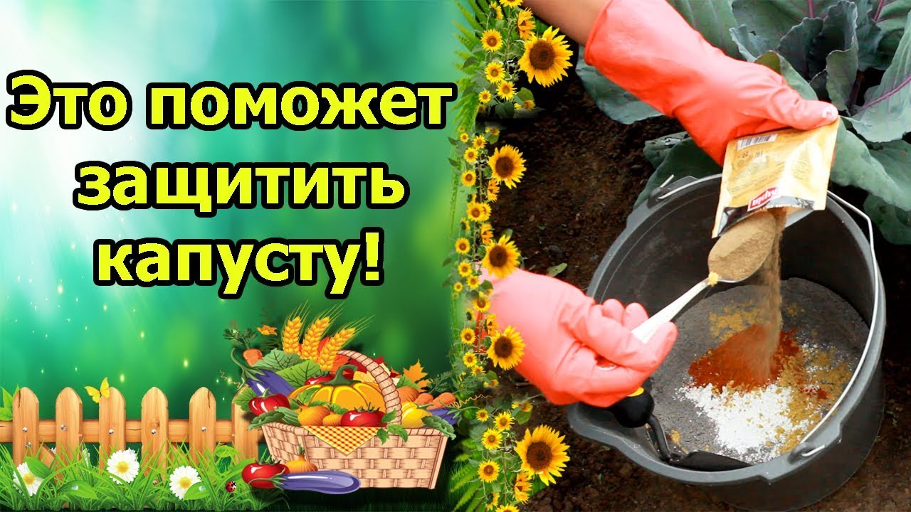 Нажмите, чтобы запустить видео