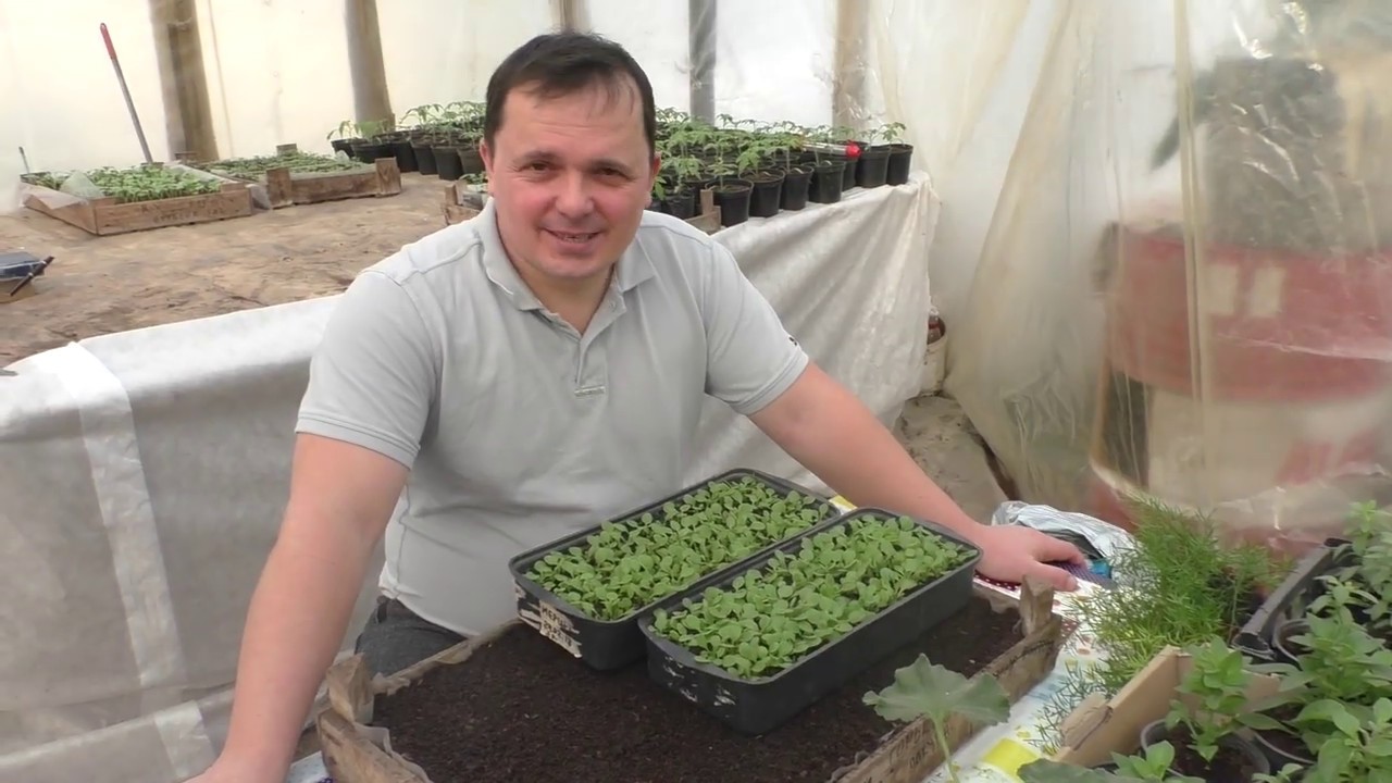 Нажмите, чтобы запустить видео