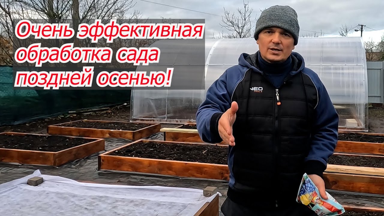 Нажмите, чтобы запустить видео