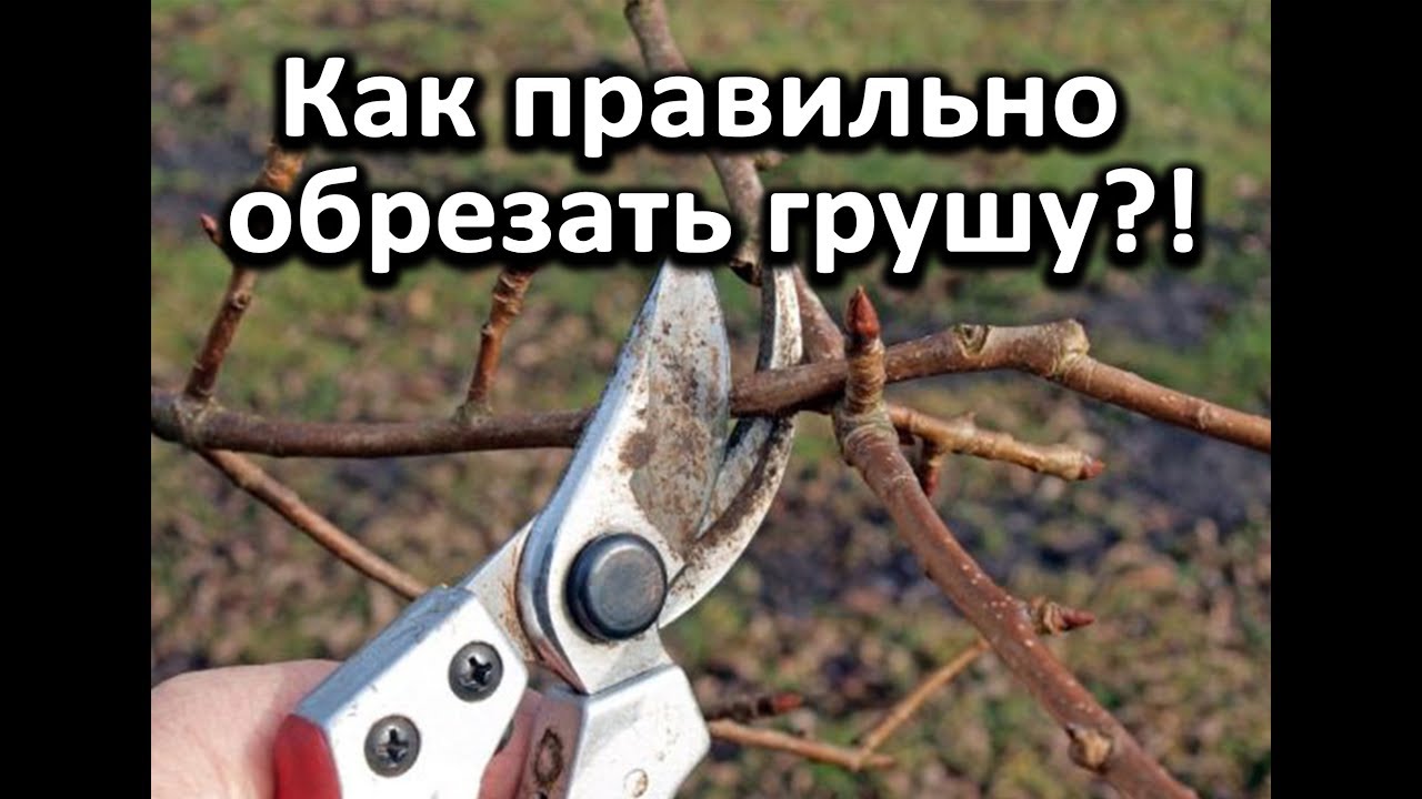 Нажмите, чтобы запустить видео