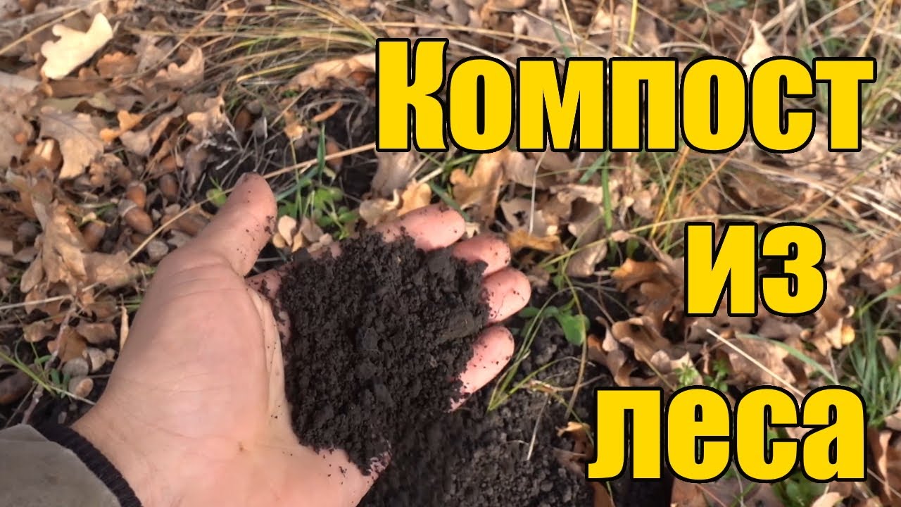 Нажмите, чтобы запустить видео