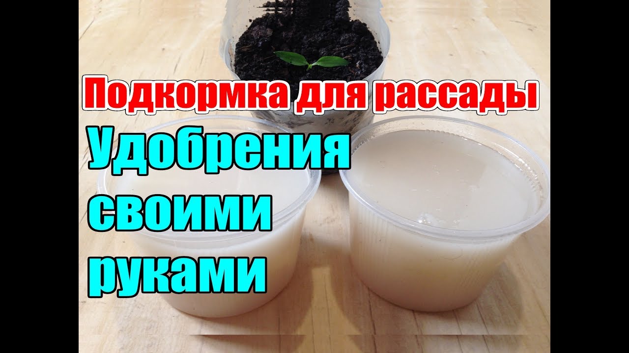 Нажмите, чтобы запустить видео