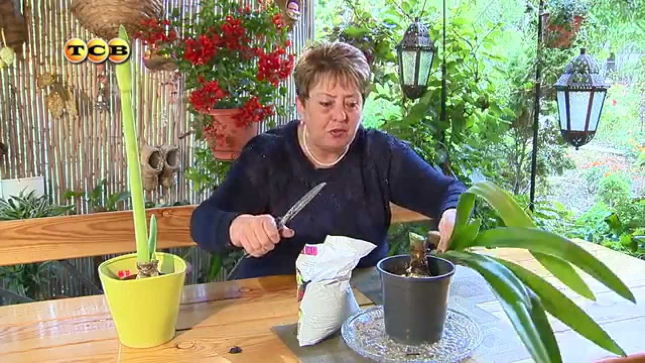 Нажмите, чтобы запустить видео
