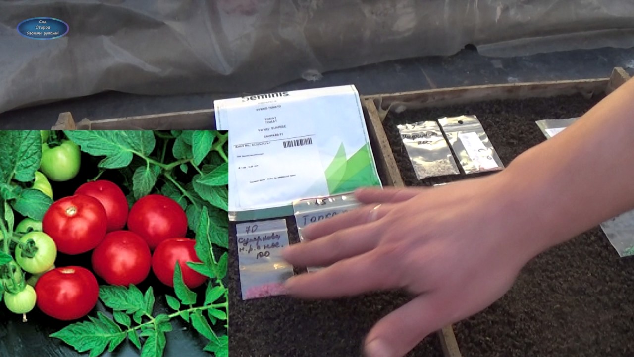 Нажмите, чтобы запустить видео