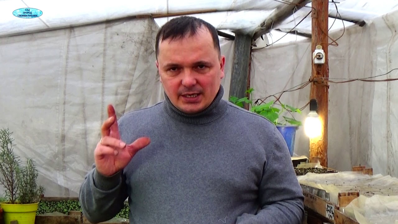 Нажмите, чтобы запустить видео