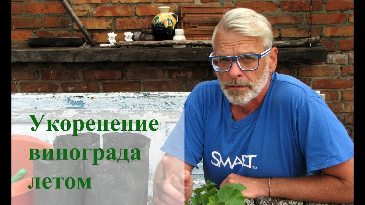 Нажмите, чтобы запустить видео