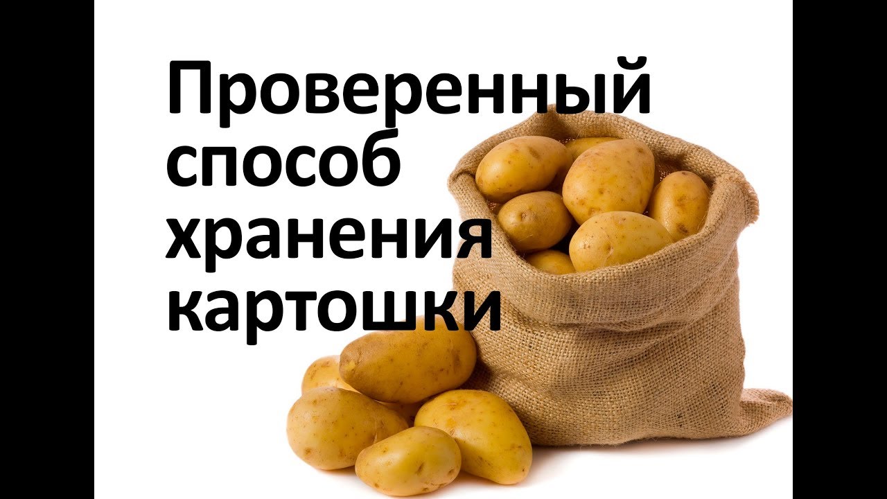 Нажмите, чтобы запустить видео