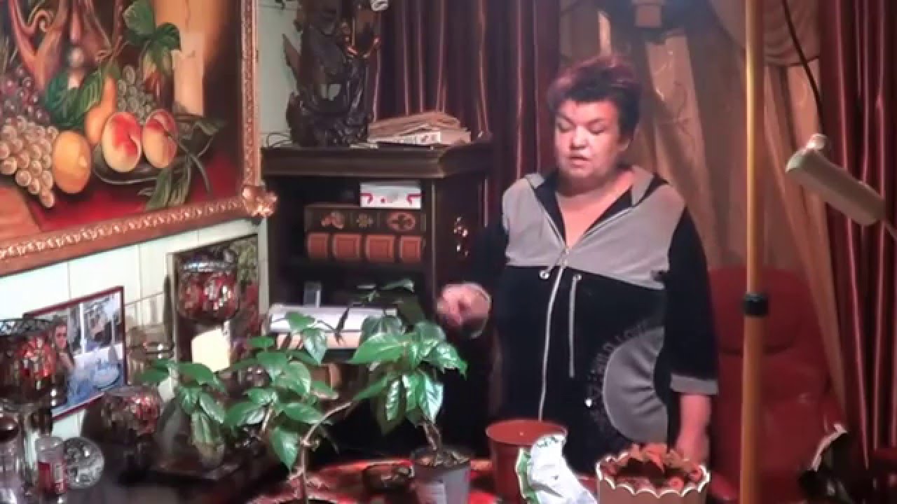 Нажмите, чтобы запустить видео