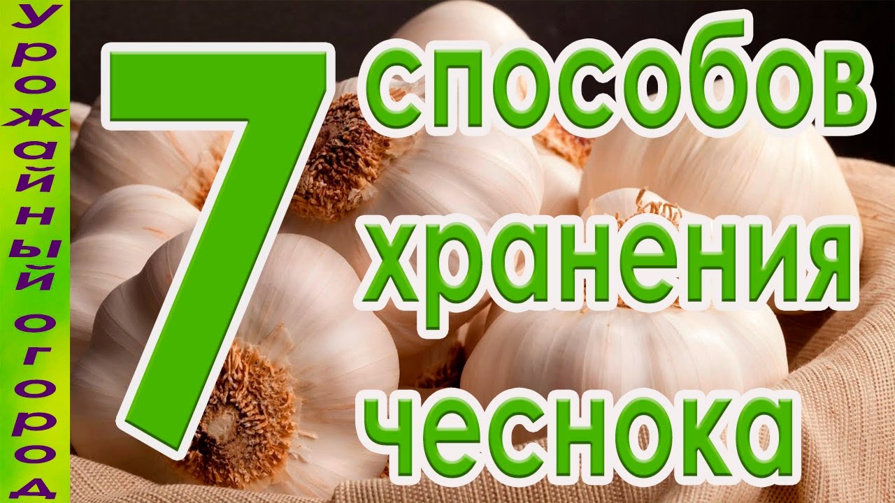 Нажмите, чтобы запустить видео