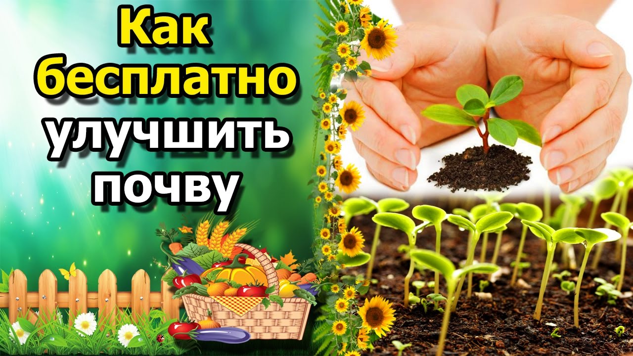 Нажмите, чтобы запустить видео